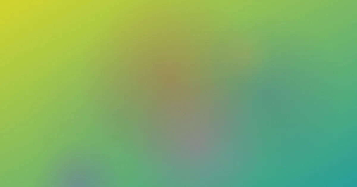 石黑京香推荐：新手入门版